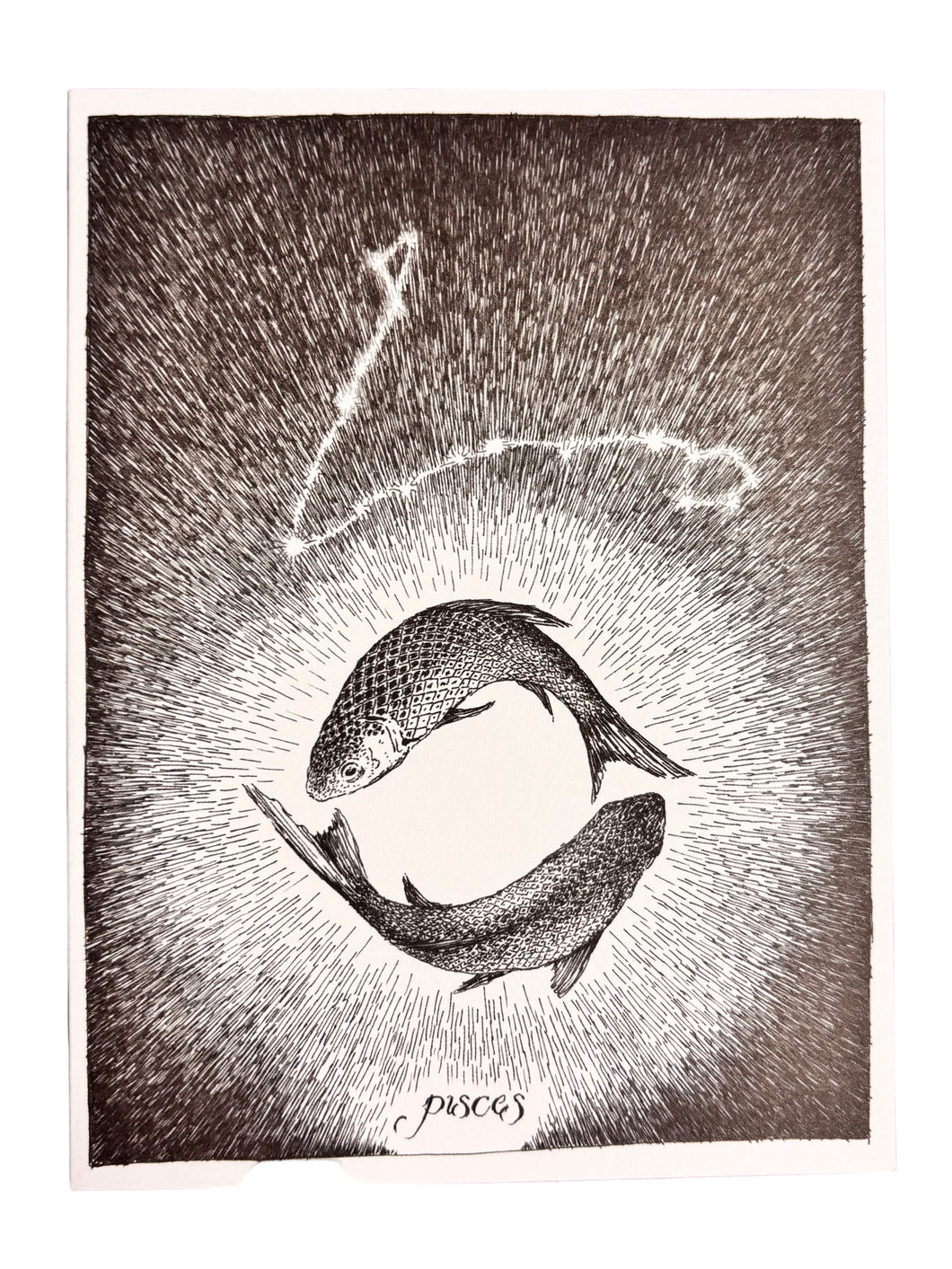 SPECIAL ITEM * Zodiac Greeting Cards by Kim Krans