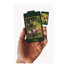 Green Gold: An Ancestral Plant Spirit Oracle