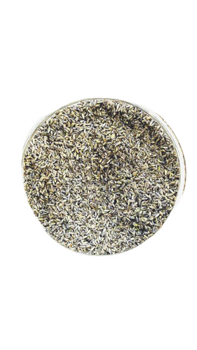 English Lavender
