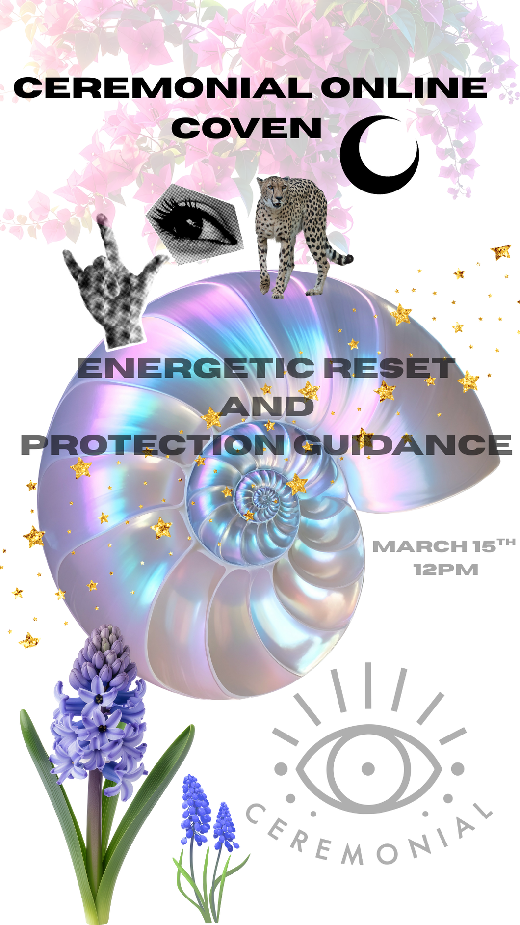 image of spring flowers and nautilus shell