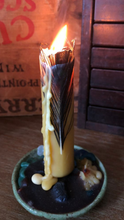 Peacock Feather Beeswax Taper Candle by Moth and Candle