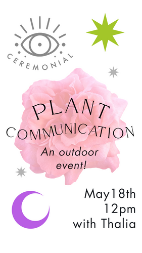 Plant Communication with Thalia, Meeting Outdoors! Saturday May 18th 12pm
